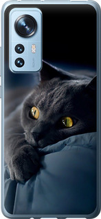 Чехол на Xiaomi 12 Дымчатый кот 825u-2555 (Серый)