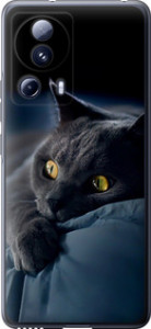 Чохол на Xiaomi Civi 2 Димчастий кіт 825u-2917 (Сірий)