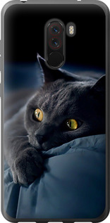 Чохол для Xiaomi Pocophone F1 Димчастий кіт 825u-1556 (Сірий)