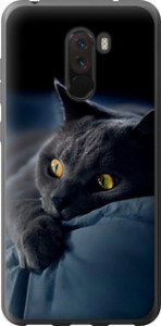 Чохол для Xiaomi Pocophone F1 Димчастий кіт 825u-1556 (Сірий)