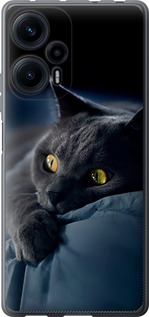 Чехол на Xiaomi Poco F5 Дымчатый кот 825u-3170 (Серый)