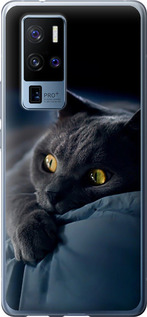 Чехол на Vivo X50 Pro Plus Дымчатый кот 825u-2056 (Серый)