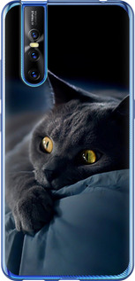 Чехол на Vivo V15 pro Димчастий кіт 825t-1763 (Сірий)