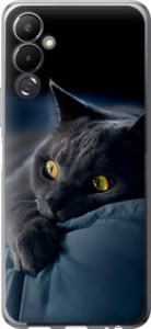 Чохол на Tecno Pova 4 LG7n Димчатий кіт 825u-2967 (Сірий)