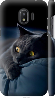 Чохол для Samsung Galaxy J2 2018 Димчастий кіт 825m-1351 (Сірий)