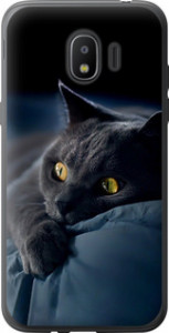 Чохол на Samsung Galaxy J2 2018 Димчастий кіт 825u-1351 (Сірий)