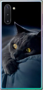 Чехол на Samsung Galaxy Note 10 Дымчатый кот 825u-1718 (Серый)