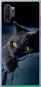 Чехол на Samsung Galaxy Note 10 Plus Дымчатый кот 825u-1756 (Серый)