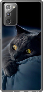 Чохол на Samsung Galaxy Note 20 Димчастий кіт 825t-2036 (Сірий)