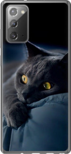 Чохол на Samsung Galaxy Note 20 Димчастий кіт 825t-2036 (Сірий)
