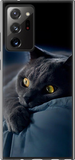 Чехол на Samsung Galaxy Note 20 Ultra Дымчатый кот 825t-2051 (Серый)