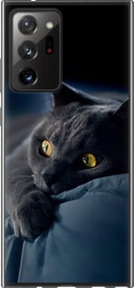 Чехол на Samsung Galaxy Note 20 Ultra Дымчатый кот 825u-2051 (Серый)