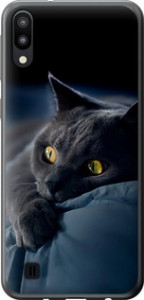 Чехол на Samsung Galaxy M10 Димчастий кіт 825u-1661 (Сірий)