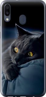 Чохол на Samsung Galaxy M20 Димчастий кіт 825u-1660 (Сірий)