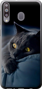 Чехол на Samsung Galaxy M30 Дымчатый кот 825t-1682 (Серый)