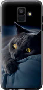 Чехол на Samsung Galaxy A6 2018 Димчастий кіт 825t-1480 (Сірий)