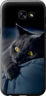 Чехол на Samsung Galaxy A5 (2017) Дымчатый кот 825t-444 (Серый)