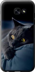 Чехол на Samsung Galaxy A5 (2017) Дымчатый кот 825t-444 (Серый)
