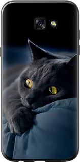 Чехол на Samsung Galaxy A7 (2017) Дымчатый кот 825t-445 (Серый)