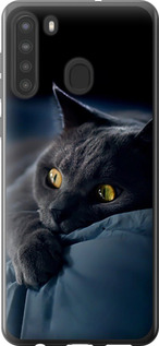 Чохол на Samsung Galaxy A21 Димчастий кіт 825u-1841 (Сірий)