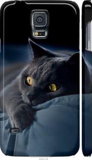 Чехол на Samsung Galaxy S5 Duos SM G900FD Дымчатый кот 825m-62 (Серый)