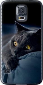 Чехол на Samsung Galaxy S5 Duos SM G900FD Дымчатый кот 825t-62 (Серый)