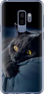 Чехол на Samsung Galaxy S9 Plus Дымчатый кот 825u-1365 (Серый)