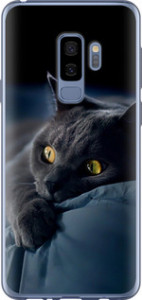 Чехол на Samsung Galaxy S9 Plus Дымчатый кот 825u-1365 (Серый)