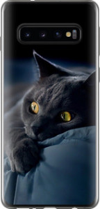 Чехол на Samsung Galaxy S10 Дымчатый кот 825u-1640 (Серый)