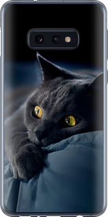 Чехол на Samsung Galaxy S10e Димчастий кіт 825u-1646 (Сірий)