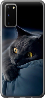 Чохол на Samsung Galaxy S20 Димчастий кіт 825u-1824 (Сірий)