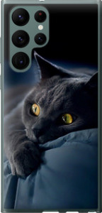 Чехол на Samsung Galaxy S22 Ultra Дымчатый кот 825u-2500 (Серый)