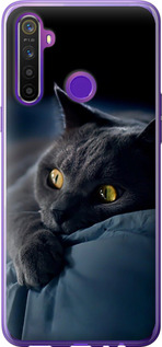 Чехол на Realme 6i Дымчатый кот 825t-2059 (Серый)