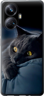Чехол на Realme 10 Pro Plus Димчастий кіт 825u-2944 (Сірий)