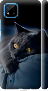 Чехол на Realme C20A Дымчатый кот 825m-2416 (Серый)