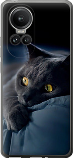 Чехол на Oppo Reno10 Pro Дымчатый кот 825u-3109 (Серый)