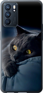Чехол на Oppo Reno6 5G Дымчатый кот 825u-2651 (Серый)