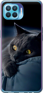 Чохол на Oppo Reno 4 Lite Димчастий кіт 825t-2099 (Сірий)