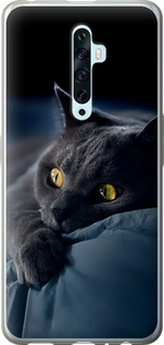 Чехол на Oppo Reno 2Z Дымчатый кот 825u-1867 (Серый)