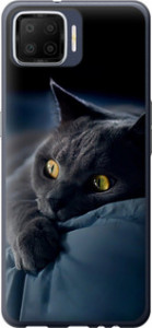 Чехол на Oppo A73 Дымчатый кот 825u-1379 (Серый)