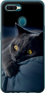 Чехол на Oppo A5S Дымчатый кот 825t-1892 (Серый) для Oppo A5s