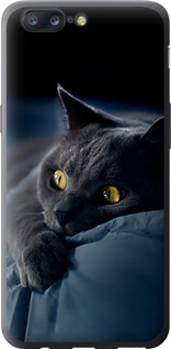 Чохол на OnePlus 5 Димчастий кіт 825u-969 (Сірий)