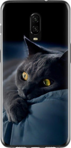 Чехол на OnePlus 6T Дымчатый кот 825u-1587 (Серый)