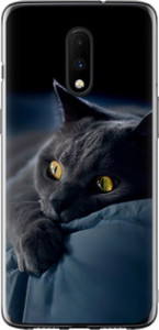 Чехол на OnePlus 7 Дымчатый кот 825t-1740 (Серый)