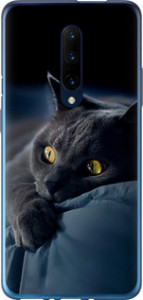 Чохол на OnePlus 7 Pro Димчастий кіт 825u-1696 (Сірий)