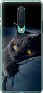 Чехол на OnePlus 8 Дымчатый кот 825t-1902 (Серый)