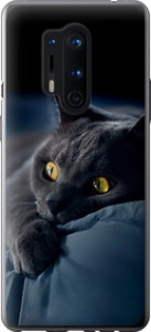 Чехол на OnePlus 8 Pro Дымчатый кот 825t-1896 (Серый)