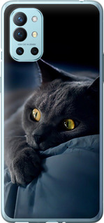 Чохол на OnePlus 9R Димчастий кіт 825u-2326 (Сірий)
