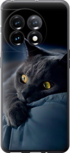 Чехол на OnePlus 11 Дымчатый кот 825u-2940 (Серый)