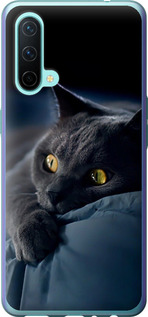 Чохол на OnePlus Nord CE Димчастий кіт 825u-2382 (Сірий)